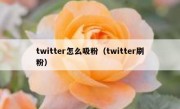 twitter怎么吸粉（twitter刷粉）
