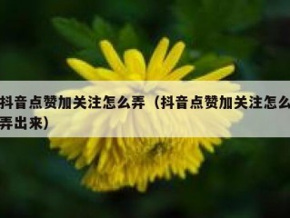 抖音点赞加关注怎么弄（抖音点赞加关注怎么弄出来）