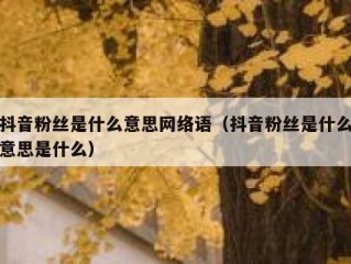 抖音粉丝是什么意思网络语（抖音粉丝是什么意思是什么）
