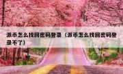 派币怎么找回密码登录（派币怎么找回密码登录不了）