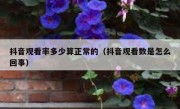 抖音观看率多少算正常的（抖音观看数是怎么回事）