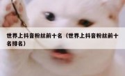 世界上抖音粉丝前十名（世界上抖音粉丝前十名排名）