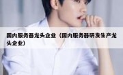 国内服务器龙头企业（国内服务器研发生产龙头企业）