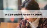 抖音涨粉快的领域（抖音做什么涨粉快）