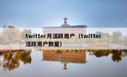 twitter月活跃用户（twitter活跃用户数量）