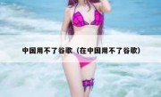中国用不了谷歌（在中国用不了谷歌）