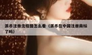 派币注册流程图怎么看（派币在中国注册商标了吗）