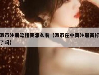 派币注册流程图怎么看（派币在中国注册商标了吗）