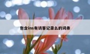 包含ins有访客记录么的词条