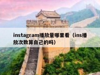 instagram播放量哪里看（ins播放次数算自己的吗）