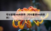 可以查看ins的软件（可以看到ins的软件）