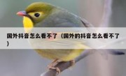 国外抖音怎么看不了（国外的抖音怎么看不了）