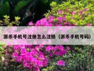 派币手机号注册怎么注销（派币手机号码）