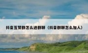 抖音互赞群怎么进群聊（抖音群聊怎么加人）