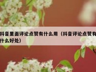 抖音里面评论点赞有什么用（抖音评论点赞有什么好处）