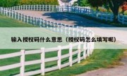 输入授权码什么意思（授权码怎么填写呢）