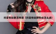 抖音粉丝群怎样进（抖音粉丝群粉丝怎么进）