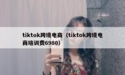 tiktok跨境电商（tiktok跨境电商培训费6980）