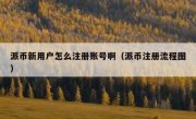 派币新用户怎么注册账号啊（派币注册流程图）