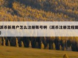 派币新用户怎么注册账号啊（派币注册流程图）