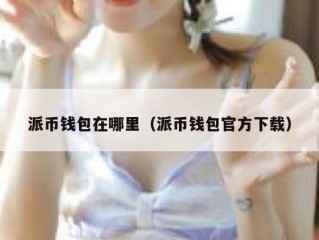 派币钱包在哪里（派币钱包官方下载）