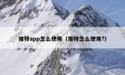 推特app怎么使用（推特怎么使用?）