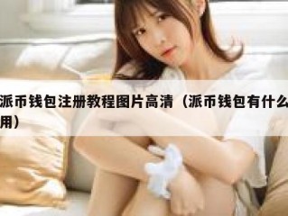 派币钱包注册教程图片高清（派币钱包有什么用）
