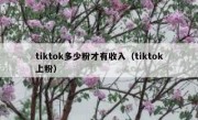 tiktok多少粉才有收入（tiktok上粉）