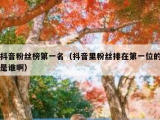 抖音粉丝榜第一名（抖音里粉丝排在第一位的是谁啊）