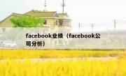 facebook业绩（facebook公司分析）