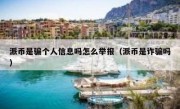 派币是骗个人信息吗怎么举报（派币是诈骗吗）