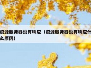 资源服务器没有响应（资源服务器没有响应什么原因）