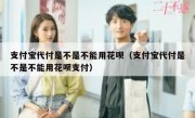 支付宝代付是不是不能用花呗（支付宝代付是不是不能用花呗支付）