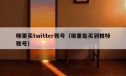 哪里买twitter账号（哪里能买到推特账号）