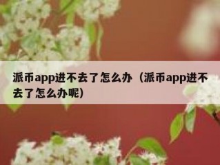 派币app进不去了怎么办（派币app进不去了怎么办呢）