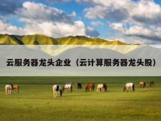云服务器龙头企业（云计算服务器龙头股）