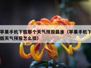 苹果手机下载那个天气预报最准（苹果手机下载天气预报怎么搞）