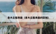 各大云服务器（各大云服务器的区别）