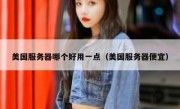 美国服务器哪个好用一点（美国服务器便宜）