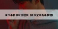 派币手机验证流程图（派币登录新手教程）