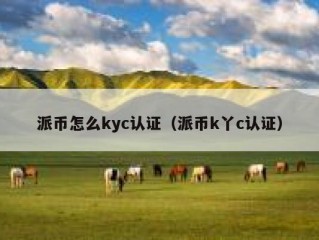 派币怎么kyc认证（派币k丫c认证）