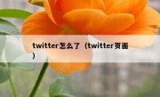 twitter怎么了（twitter页面）