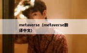 metaverse（metaverse翻译中文）