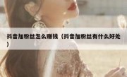 抖音加粉丝怎么赚钱（抖音加粉丝有什么好处）