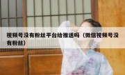 视频号没有粉丝平台给推送吗（微信视频号没有粉丝）
