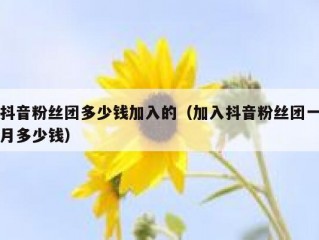 抖音粉丝团多少钱加入的（加入抖音粉丝团一月多少钱）