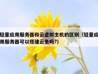 轻量应用服务器和云虚拟主机的区别（轻量应用服务器可以搭建云免吗?）