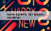 twitter忘记用户名（忘了自己的twitter用户名）