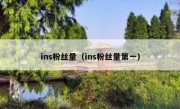 ins粉丝量（ins粉丝量第一）
