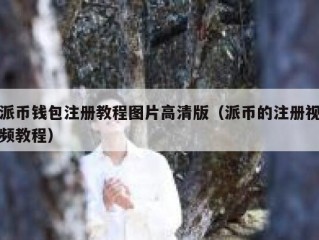 派币钱包注册教程图片高清版（派币的注册视频教程）